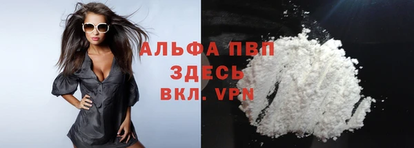 крисы Аркадак