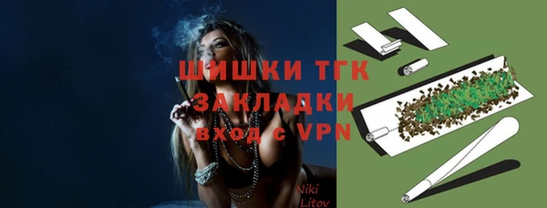крисы Аркадак