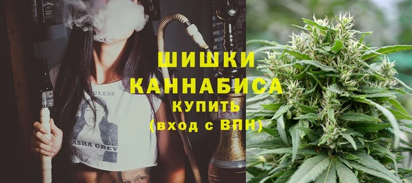крисы Арсеньев