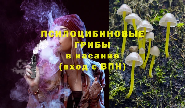 крисы Арсеньев