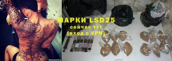 крисы Аркадак