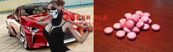 крисы Аркадак