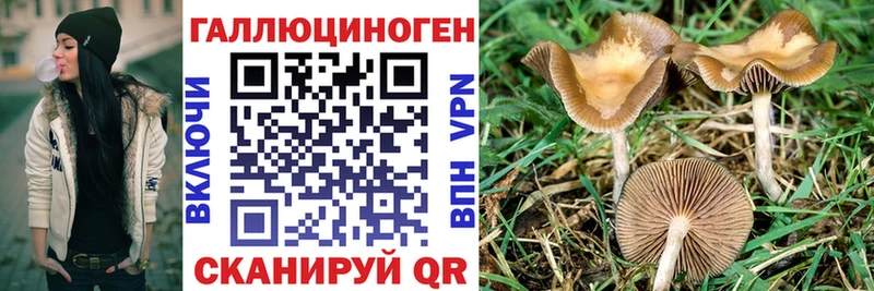 Галлюциногенные грибы мухоморы  купить наркотик  Козьмодемьянск 